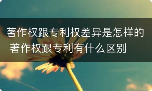 著作权跟专利权差异是怎样的 著作权跟专利有什么区别