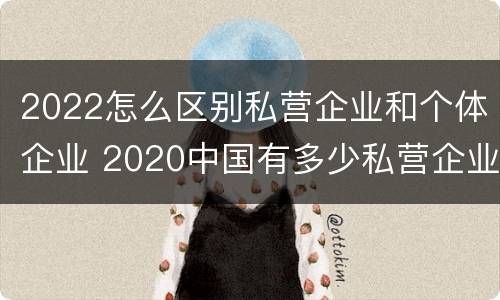 2022怎么区别私营企业和个体企业 2020中国有多少私营企业