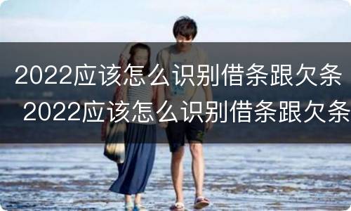 2022应该怎么识别借条跟欠条 2022应该怎么识别借条跟欠条呢