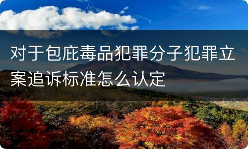对于包庇毒品犯罪分子犯罪立案追诉标准怎么认定