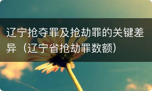 辽宁抢夺罪及抢劫罪的关键差异（辽宁省抢劫罪数额）