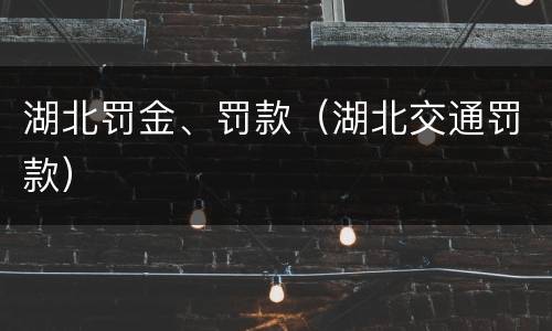 湖北罚金、罚款(湖北交通罚款)