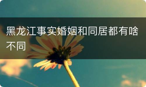 黑龙江事实婚姻和同居都有啥不同