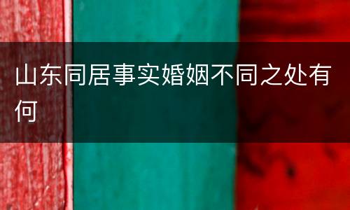 山东同居事实婚姻不同之处有何