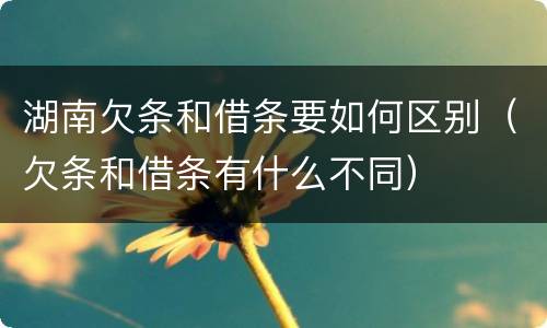 湖南欠条和借条要如何区别（欠条和借条有什么不同）