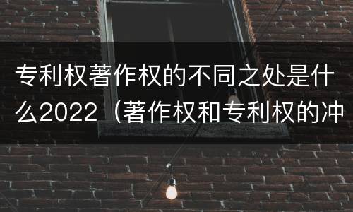 专利权著作权的不同之处是什么2022（著作权和专利权的冲突）