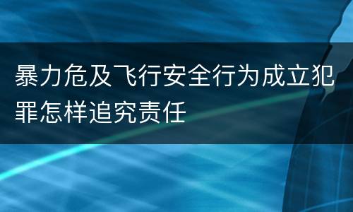 暴力危及飞行安全行为成立犯罪怎样追究责任