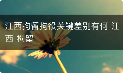 江西拘留拘役关键差别有何 江西 拘留