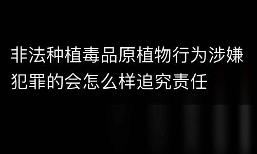 非法种植毒品原植物行为涉嫌犯罪的会怎么样追究责任