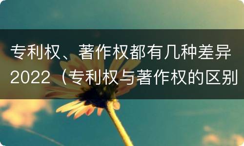 专利权、著作权都有几种差异2022（专利权与著作权的区别与联系）