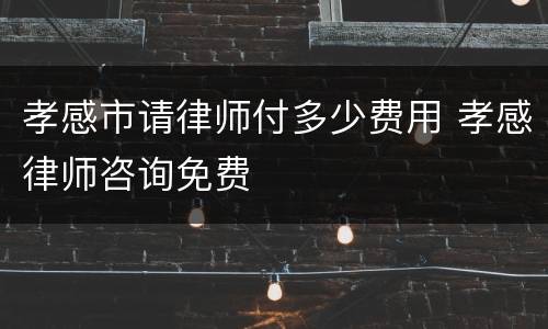 孝感市请律师付多少费用 孝感律师咨询免费