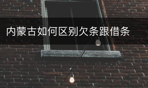内蒙古如何区别欠条跟借条