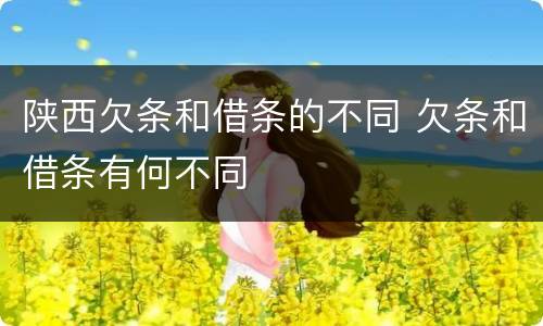 陕西欠条和借条的不同 欠条和借条有何不同