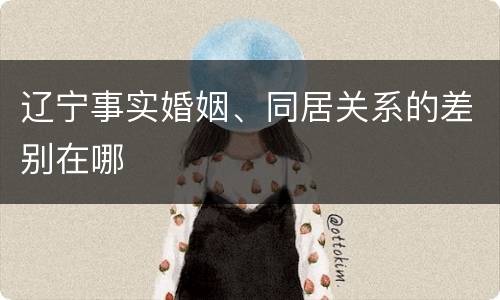 辽宁事实婚姻、同居关系的差别在哪