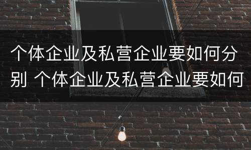 个体企业及私营企业要如何分别 个体企业及私营企业要如何分别纳税