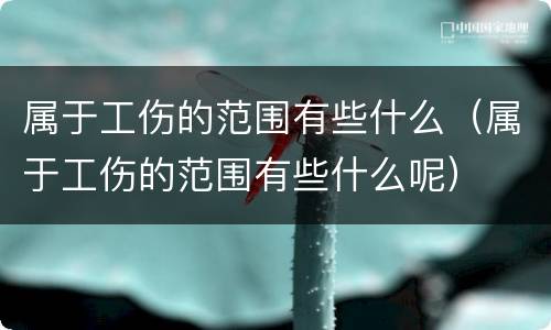 属于工伤的范围有些什么（属于工伤的范围有些什么呢）