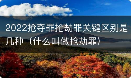 2022抢夺罪抢劫罪关键区别是几种（什么叫做抢劫罪）