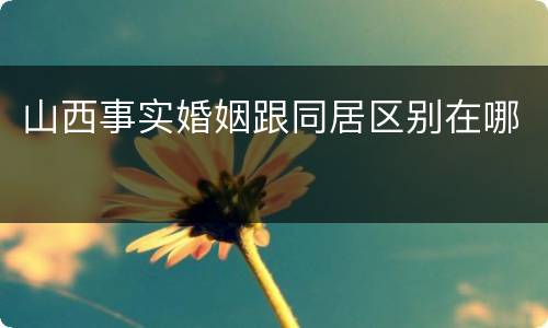 山西事实婚姻跟同居区别在哪