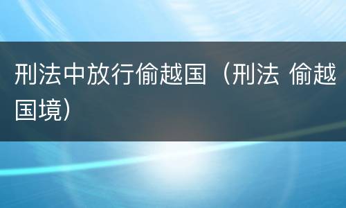 刑法中放行偷越国（刑法 偷越国境）