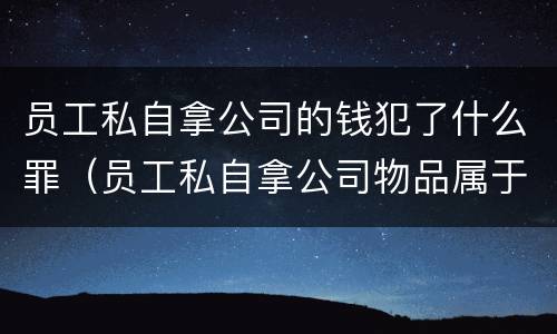 员工私自拿公司的钱犯了什么罪（员工私自拿公司物品属于什么行为）