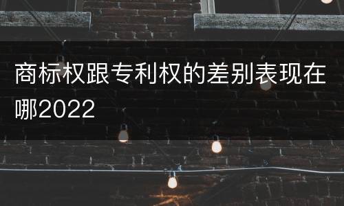 商标权跟专利权的差别表现在哪2022