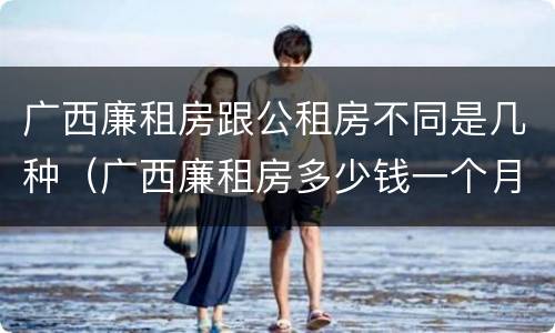 广西廉租房跟公租房不同是几种（广西廉租房多少钱一个月）