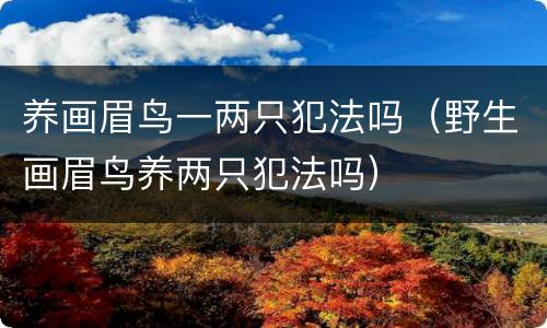 养画眉鸟一两只犯法吗（野生画眉鸟养两只犯法吗）