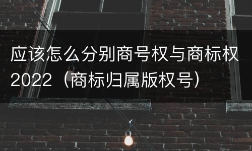 应该怎么分别商号权与商标权2022（商标归属版权号）
