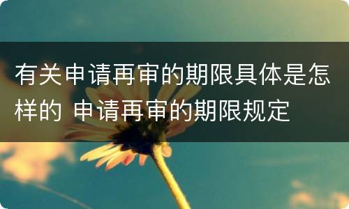 有关申请再审的期限具体是怎样的 申请再审的期限规定