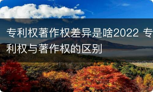 专利权著作权差异是啥2022 专利权与著作权的区别