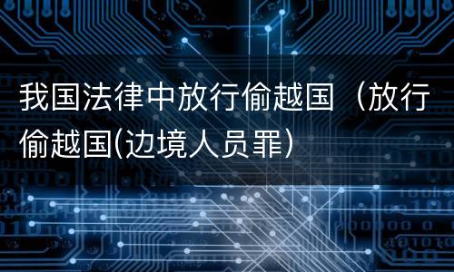 我国法律中放行偷越国（放行偷越国(边境人员罪）