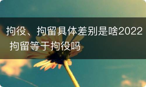 拘役、拘留具体差别是啥2022 拘留等于拘役吗