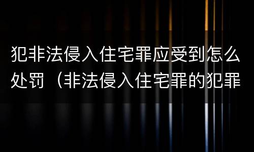犯非法侵入住宅罪应受到怎么处罚（非法侵入住宅罪的犯罪构成）