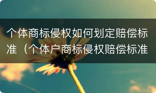 个体商标侵权如何划定赔偿标准（个体户商标侵权赔偿标准）