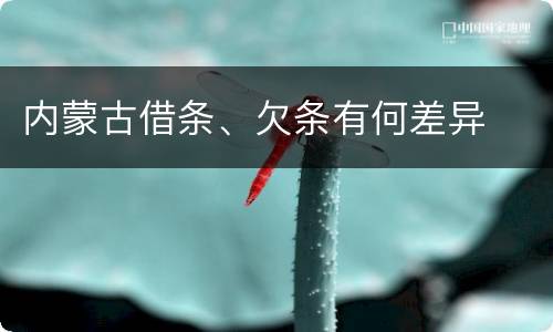 内蒙古借条、欠条有何差异