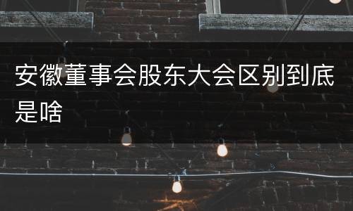 安徽董事会股东大会区别到底是啥