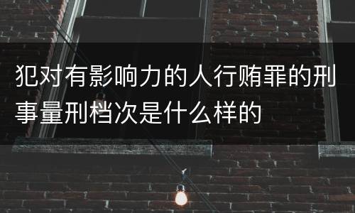 犯对有影响力的人行贿罪的刑事量刑档次是什么样的