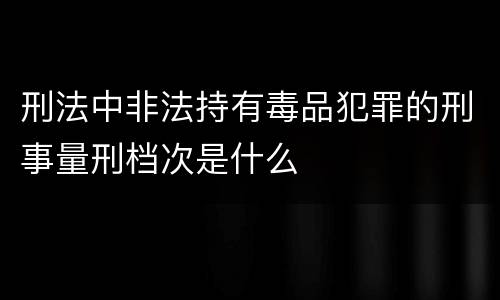 刑法中非法持有毒品犯罪的刑事量刑档次是什么