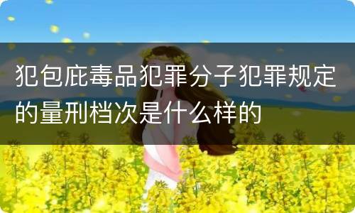 犯包庇毒品犯罪分子犯罪规定的量刑档次是什么样的
