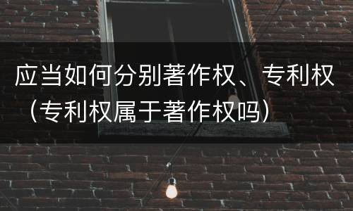 应当如何分别著作权、专利权（专利权属于著作权吗）