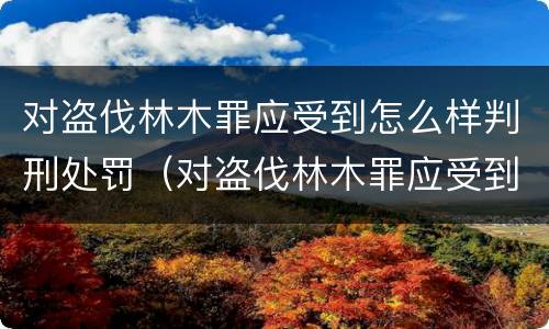 对盗伐林木罪应受到怎么样判刑处罚（对盗伐林木罪应受到怎么样判刑处罚呢）