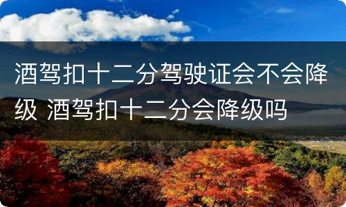 酒驾扣十二分驾驶证会不会降级 酒驾扣十二分会降级吗