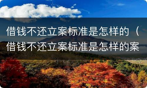 借钱不还立案标准是怎样的（借钱不还立案标准是怎样的案例）