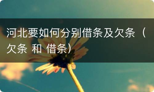 河北要如何分别借条及欠条（欠条 和 借条）