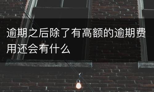逾期之后除了有高额的逾期费用还会有什么