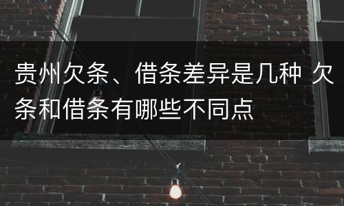 贵州欠条、借条差异是几种 欠条和借条有哪些不同点