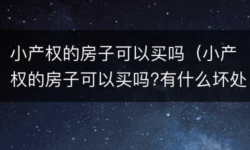 小产权的房子可以买吗（小产权的房子可以买吗?有什么坏处）