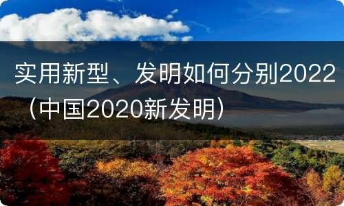 实用新型、发明如何分别2022（中国2020新发明）