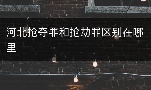 河北抢夺罪和抢劫罪区别在哪里