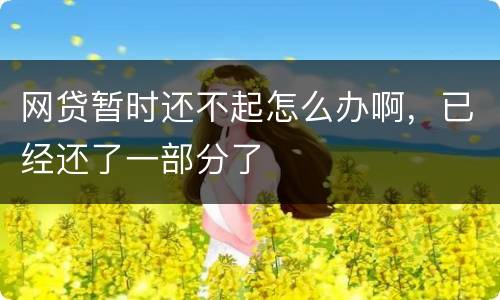 网贷暂时还不起怎么办啊，已经还了一部分了